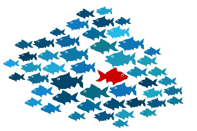 Bild som visar en massa blå fiskar och en röd